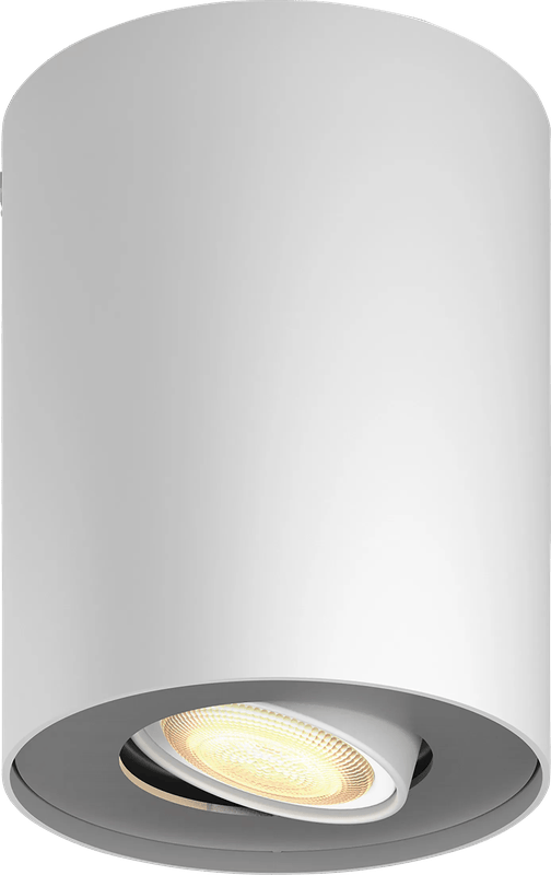 Philips Hue Pillar Opbouwspot White Ambiance - Wit - 1-spots