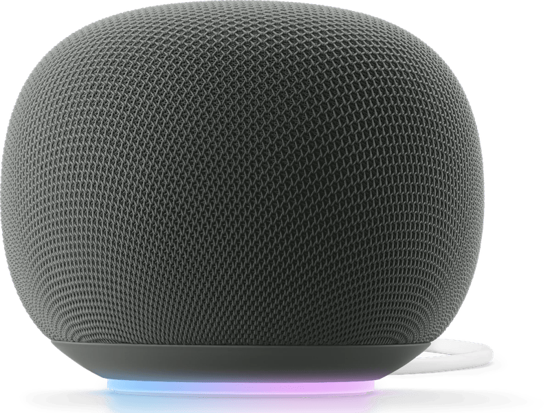 Google Home Speaker Grijs