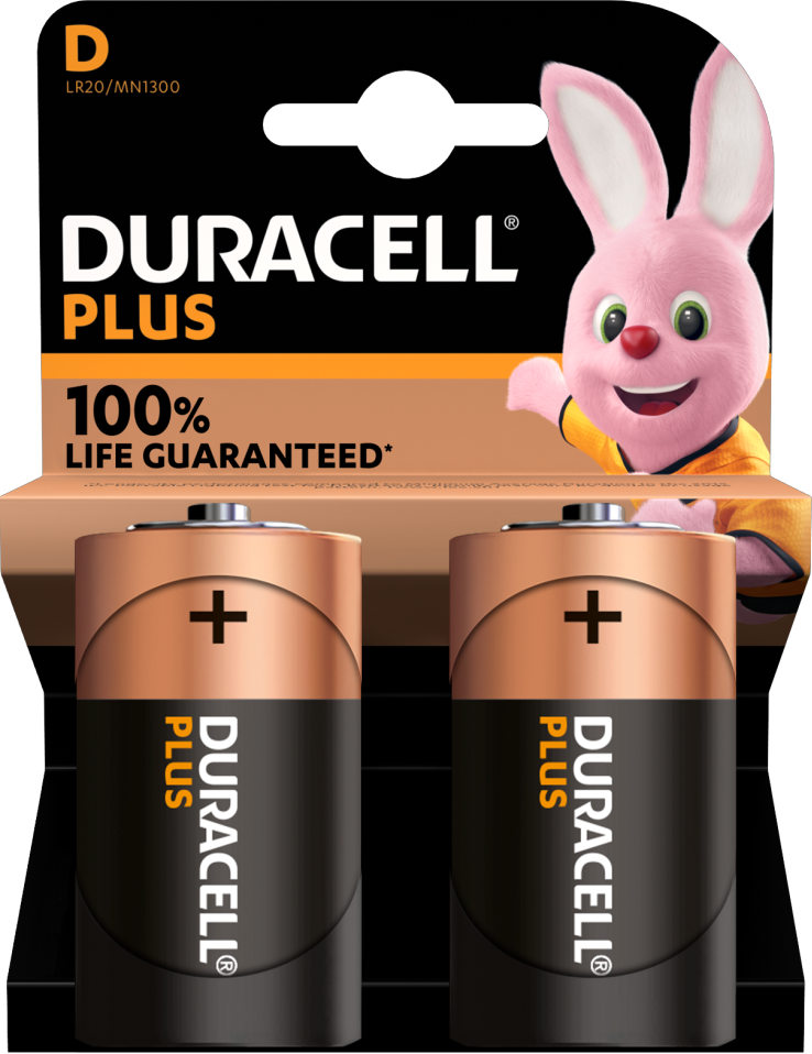 Duracell Plus D batterijen (2)