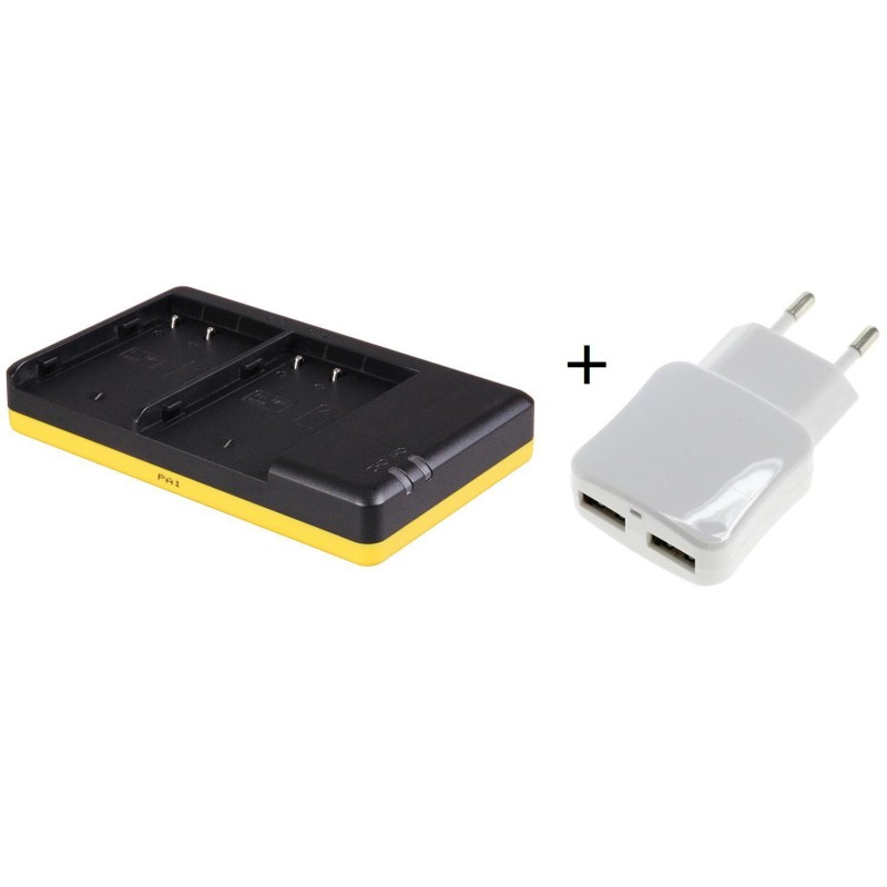 Duo lader voor 2 camera accu's Panasonic DMW-BLF19 + handige 2 poorts USB 230V adapter