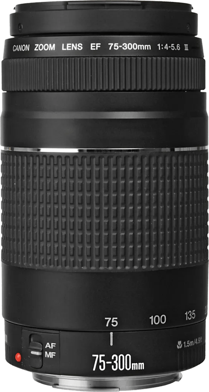 Canon EF 75-300mm f/4.0-5.6