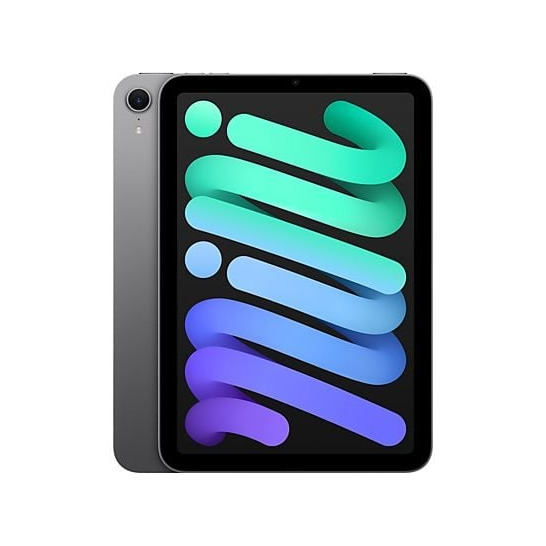Apple iPad mini (2024) 128GB WiFi Tablet Grijs