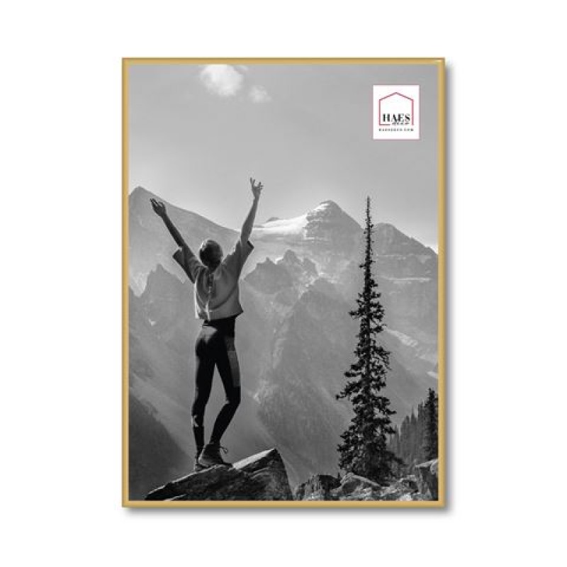 Haes Deco Kunststof Fotolijst EF8G Easy Frame Goud 50x70 cm