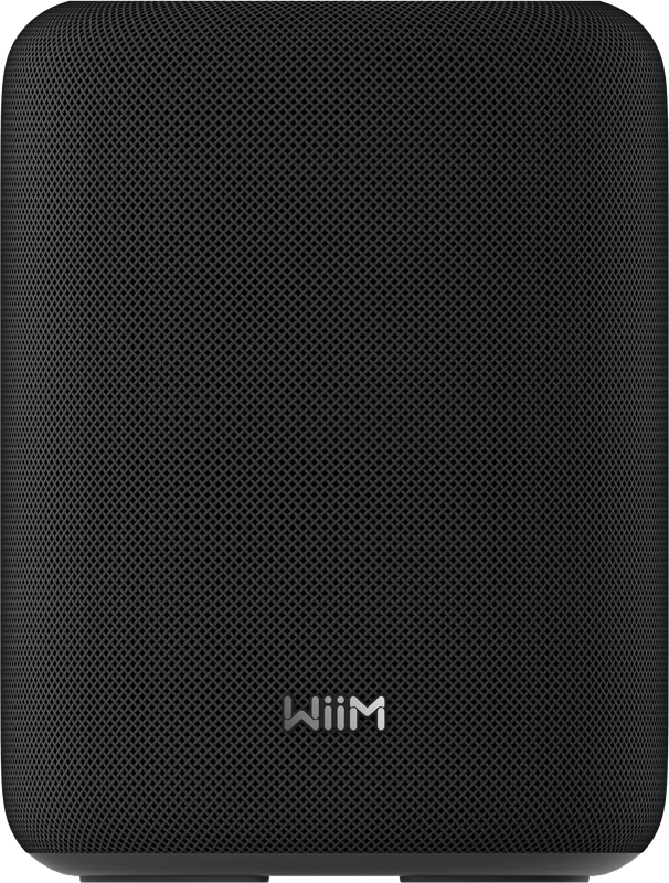 WiiM Sound Lite Zwart