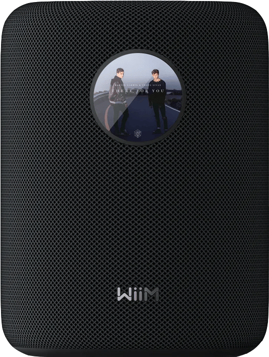 WiiM Sound Zwart