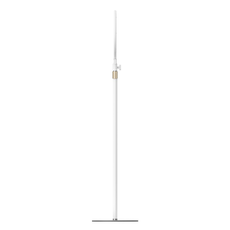 Telesin Floor Stand Eye Care & Beauty Fill Light vloerlamp met verzorgingslicht