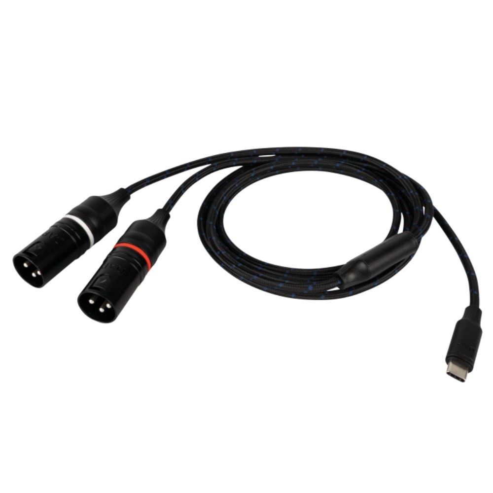 DAP FL115 verloopkabel USB-C naar 2x XLR 75cm