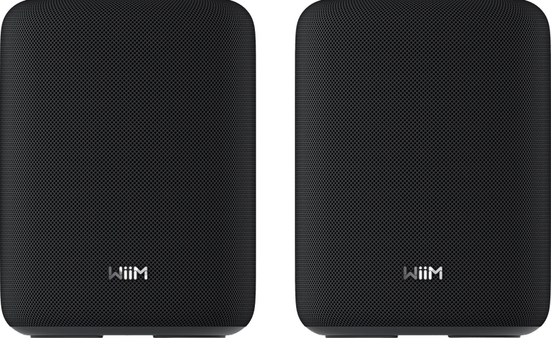 WiiM Sound Lite Twin Zwart